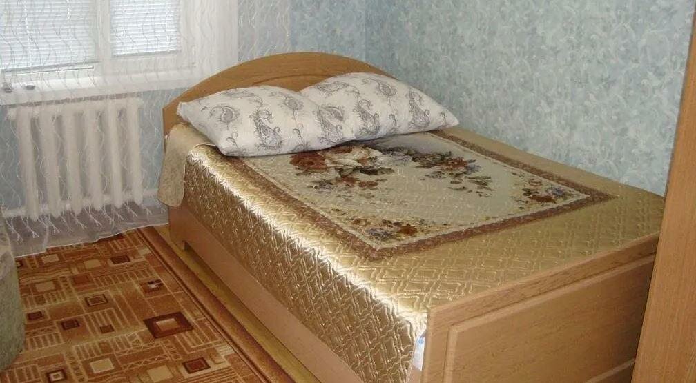 Гостиница Гостевой дом Морозовых Суздаль-16